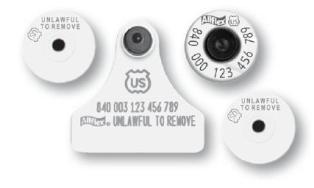 Official USDA '840' Ultra EID/Matched Pair Visual Set - Junior - BLANK