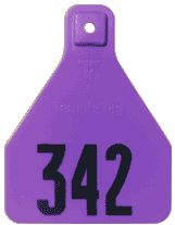 Herdsman Tags - Medium (Female Only or Set with Rivets)