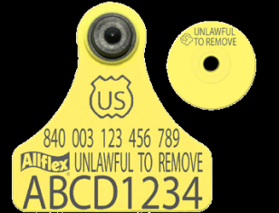 Official USDA '840' Junior Tag with Global Small Male Set - Available Blank or Numbered