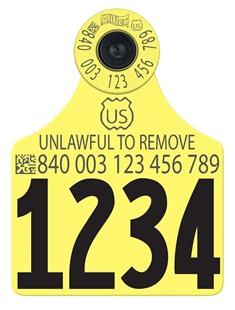 Official USDA '840' High Performance Ultra EID All-In-One Tag (Allflex)