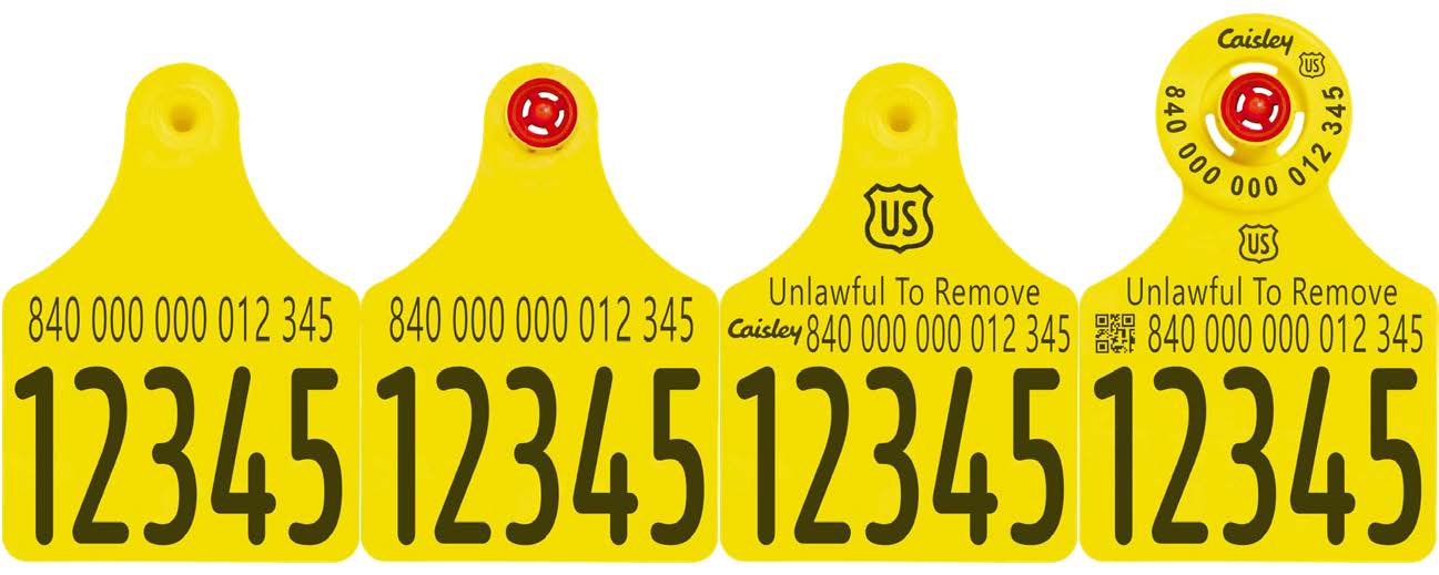 Last 5 Numbers of AIN 