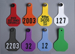 Small 2-Star All-American Tags from Y-Tex - Hot Stamped