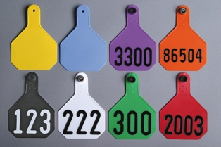 Large 4-Star All-American Tags from Y-Tex - Blank