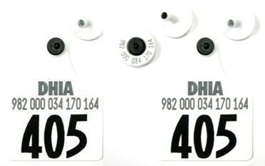 Official USDA '840' Ultra EID/Matched Pair with 2 Visual Numbered Sets - Maxi 