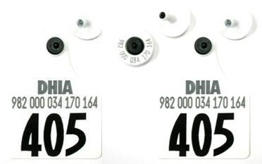 Official USDA '840' Ultra EID/Matched Pair with 2 Visual Numbered Sets - Maxi 