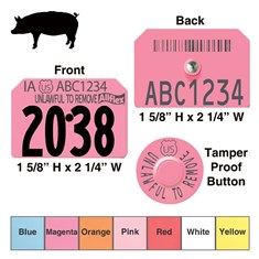 Official USDA Swine Premise Identification Number (PIN) Tags - Allflex