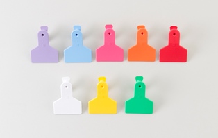 Z-Tag Z1 No-Snag Small Animal Tag - Numbered