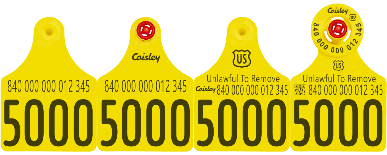 Caisley USDA (840) EID Cattle Ear Tags - Large Visual Panel
