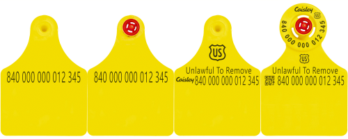 Caisley USDA (840) EID Cattle Ear Tags - Large Panel