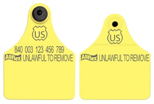 Official USDA '840' Maxi Tag with Global Large Male Set - Available Blank or Numbered