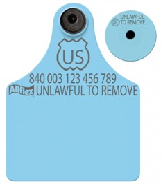 Official USDA '840' Maxi Tag with Global Small Male Set - Available Blank or Numbered