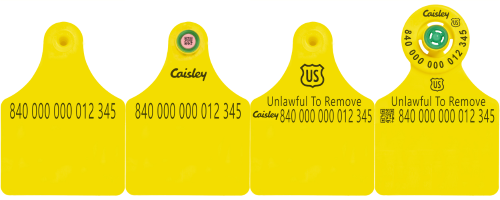 Caisley USDA (840) EID Cattle Ear Tags - Large Panel with Tissue Collection Unit